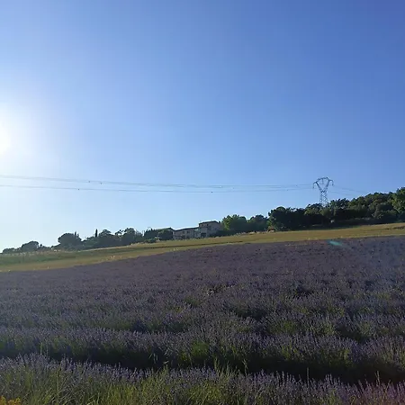 La Petite Grande Apartment