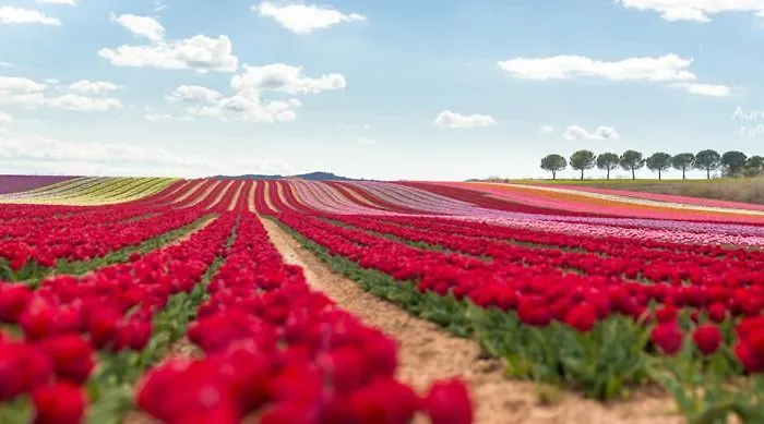 La Petite Grande Apartment *