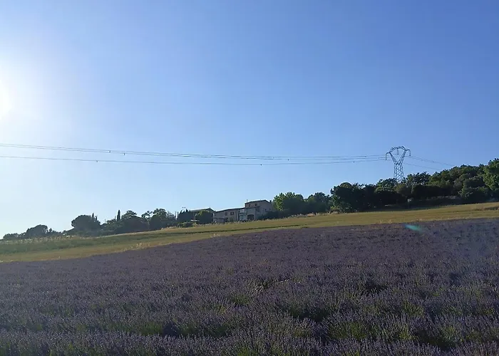 La Petite Grande Apartment