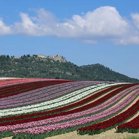 Apartment La Petite Grande