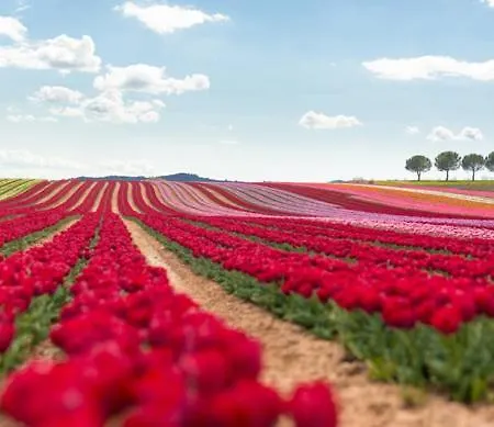 La Petite Grande Apartment *