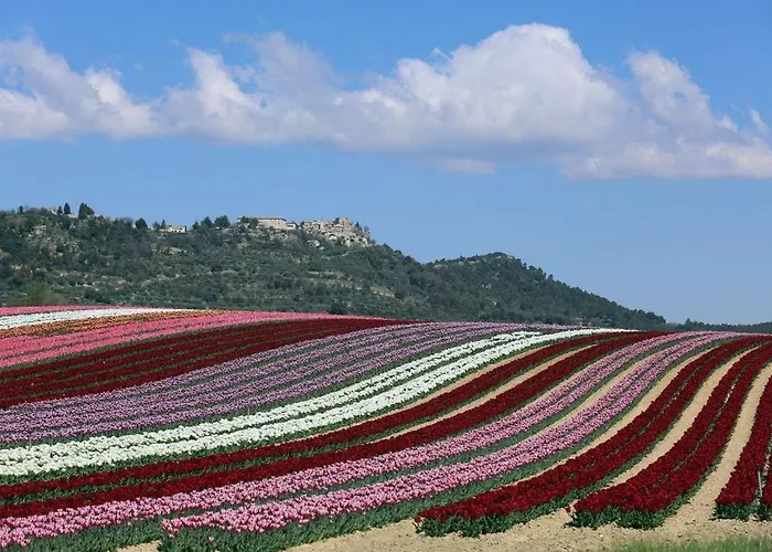 Apartment La Petite Grande